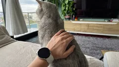 Prečo sa mačka otáča zadkom k tvári svojho majiteľa? Odborný pohľad na správanie