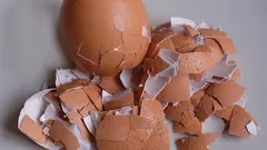 Hnojivo z vaječných škrupín pre izbové kvety: ako na to?