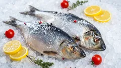 Vďaka metóde miniakvária zostávajú vaše ryby takmer rovnako čerstvé ako v mori.