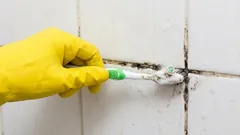 Ako sa zbaviť plesní medzi dlaždicami v kúpeľni