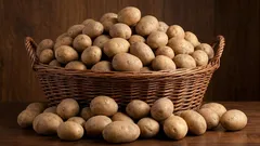 10 spôsobov, ako uskladniť zemiaky v byte a dome bez toho, aby sa pokazili