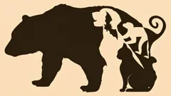 Tento test na základe obrázku vám pomôže zistiť, ktoré vlastnosti u vás prevládajú a čo vám bráni v komunikácii s ostatnými.